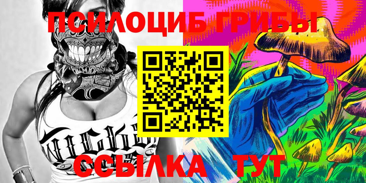 Павлово  где найти   Вход с VPN  Галлюциногенные грибы ЛСД  Псилоцибиновые грибы мухоморы 